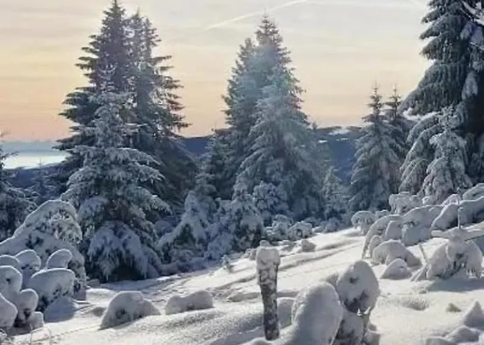 Кемпинг Mobile 6personnes ,alsace , France Мюнстер